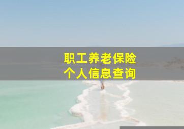 职工养老保险个人信息查询