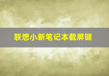 联想小新笔记本截屏键