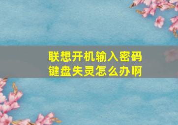 联想开机输入密码键盘失灵怎么办啊