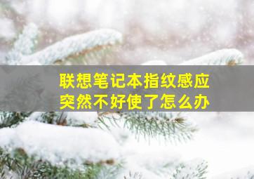 联想笔记本指纹感应突然不好使了怎么办