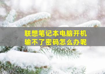 联想笔记本电脑开机输不了密码怎么办呢