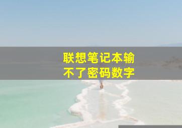 联想笔记本输不了密码数字