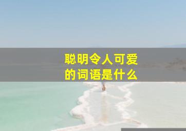 聪明令人可爱的词语是什么