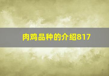 肉鸡品种的介绍817