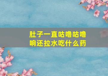 肚子一直咕噜咕噜响还拉水吃什么药