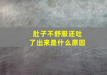 肚子不舒服还吐了出来是什么原因