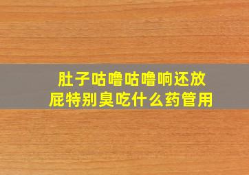 肚子咕噜咕噜响还放屁特别臭吃什么药管用