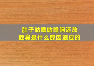 肚子咕噜咕噜响还放屁臭是什么原因造成的