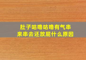 肚子咕噜咕噜有气串来串去还放屁什么原因