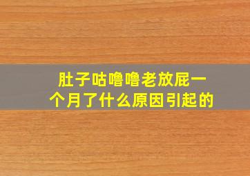 肚子咕噜噜老放屁一个月了什么原因引起的