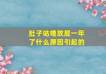 肚子咕噜放屁一年了什么原因引起的