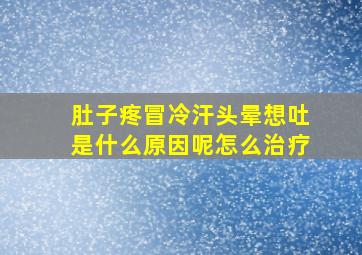 肚子疼冒冷汗头晕想吐是什么原因呢怎么治疗