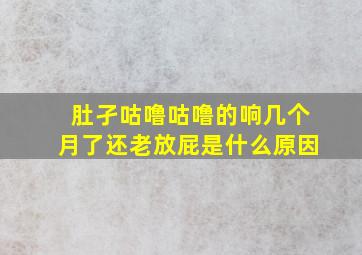 肚孑咕噜咕噜的响几个月了还老放屁是什么原因