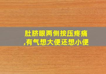 肚脐眼两侧按压疼痛,有气想大便还想小便