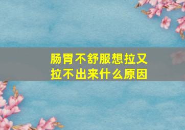 肠胃不舒服想拉又拉不出来什么原因