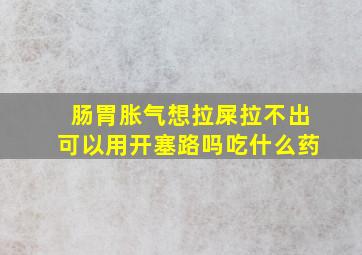 肠胃胀气想拉屎拉不出可以用开塞路吗吃什么药