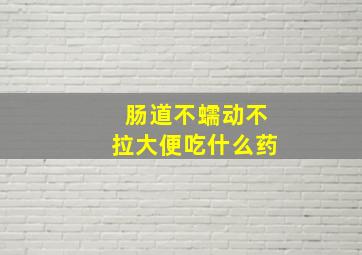 肠道不蠕动不拉大便吃什么药