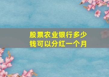 股票农业银行多少钱可以分红一个月