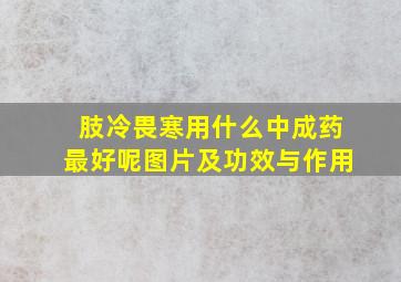 肢冷畏寒用什么中成药最好呢图片及功效与作用