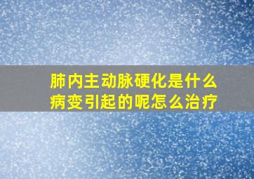 肺内主动脉硬化是什么病变引起的呢怎么治疗