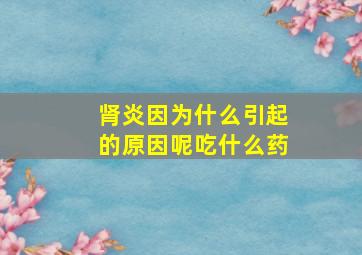 肾炎因为什么引起的原因呢吃什么药