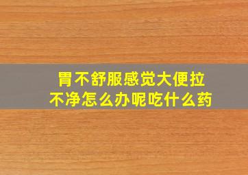 胃不舒服感觉大便拉不净怎么办呢吃什么药