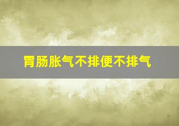 胃肠胀气不排便不排气