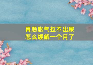 胃肠胀气拉不出屎怎么缓解一个月了