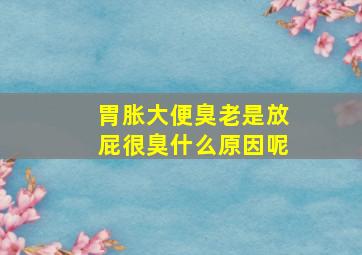 胃胀大便臭老是放屁很臭什么原因呢