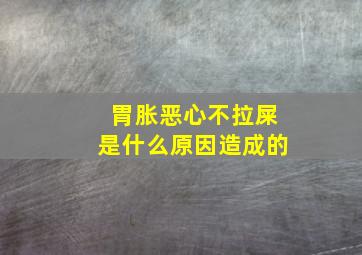 胃胀恶心不拉屎是什么原因造成的