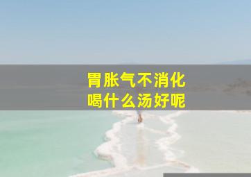 胃胀气不消化喝什么汤好呢