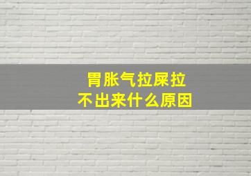 胃胀气拉屎拉不出来什么原因