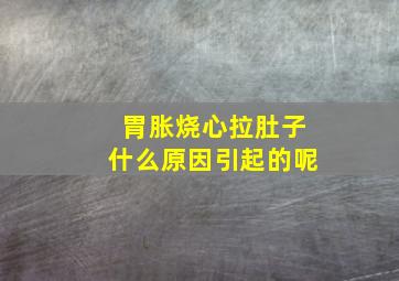 胃胀烧心拉肚子什么原因引起的呢