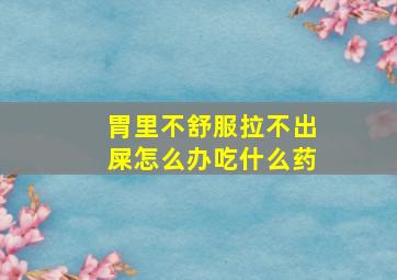 胃里不舒服拉不出屎怎么办吃什么药