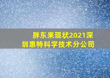 胖东来现状2021深圳惠特科学技术分公司