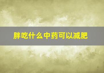 胖吃什么中药可以减肥