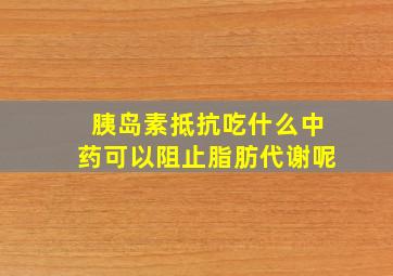 胰岛素抵抗吃什么中药可以阻止脂肪代谢呢