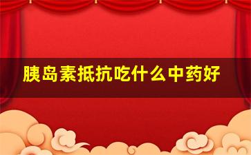 胰岛素抵抗吃什么中药好