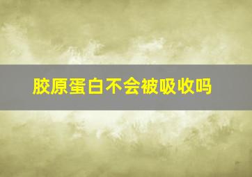 胶原蛋白不会被吸收吗