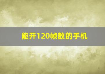 能开120帧数的手机