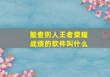 能查别人王者荣耀战绩的软件叫什么