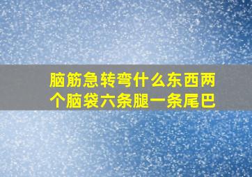 脑筋急转弯什么东西两个脑袋六条腿一条尾巴