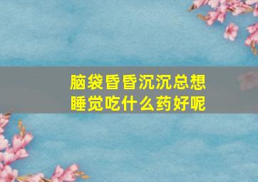 脑袋昏昏沉沉总想睡觉吃什么药好呢