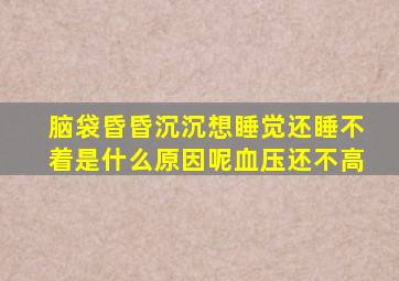 脑袋昏昏沉沉想睡觉还睡不着是什么原因呢血压还不高