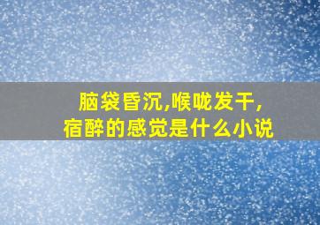 脑袋昏沉,喉咙发干,宿醉的感觉是什么小说