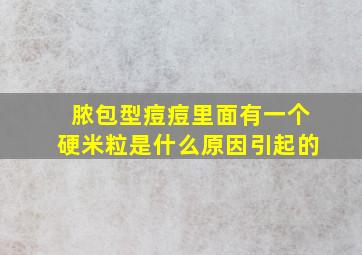 脓包型痘痘里面有一个硬米粒是什么原因引起的