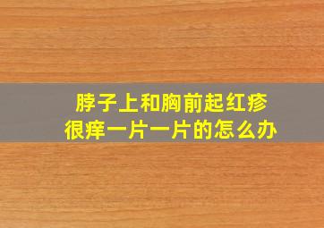 脖子上和胸前起红疹很痒一片一片的怎么办