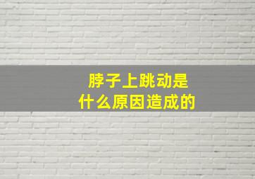 脖子上跳动是什么原因造成的