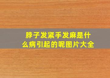 脖子发紧手发麻是什么病引起的呢图片大全