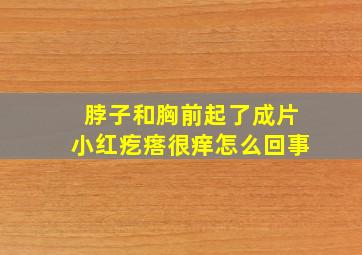 脖子和胸前起了成片小红疙瘩很痒怎么回事